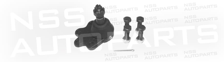 1228534 RÓTULA /
