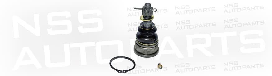 1231527 RÓTULA / LEFT & RIGHT