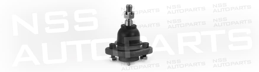 1228685 RÓTULA /